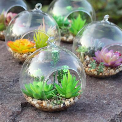 China Gardening Introduce Latest Hot Sale Customized Hanging Decorative Mini Succulent Plant for sale