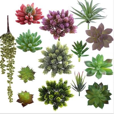 China Gardening Introduce Wholesale Plastic DIY Mini Plants Various Plants Fake Plants Artificial Succulent For Home Decoration for sale