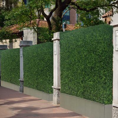 China Minimalist plastic 50*50cm boxwood fence artificial greenery hedge panels panels for garden boj panel decoration for sale