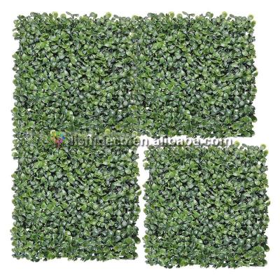 China Gardening Lay Out Artificial Boxwood Hedge Panel For Garden Decoration for sale