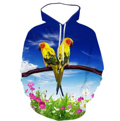 China Parrot Series 3D Loose Hooded Ordinary Casual Sweater Customized byride for sale