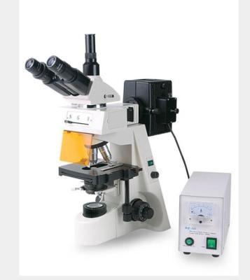 China (BM-146Y) Brightfield Compound Microscope, 30W Halogen Trinocular Epi-fluorescence Illumination 180mm*160mm for sale