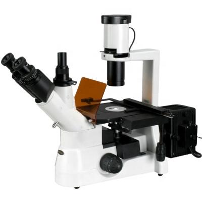 China Trinocular Plan Phase Contrast Inverted Fluorescent Microscope (BM-403Y) BM-403Y for sale