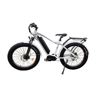 China Lantu Ebike G510 1000W 26 inch fat tire street tire electric bicycle for adult for sale