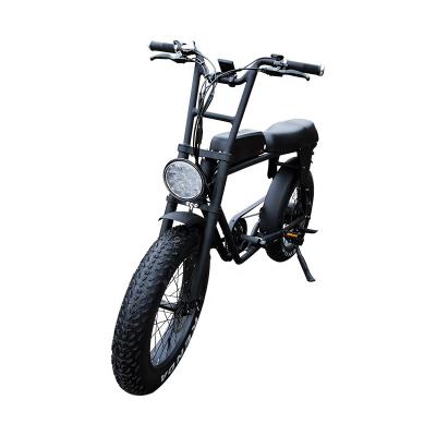 China Lantu Ebike 20 inch 20x4.0 Fat Tire Dual Battery Two Person Electric Bike en venta