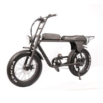 China Lantu Ebike 20 inch wholesale fat tire double battery electric bicycle ebike supplier à venda