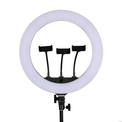 China Youtobe Live/Comestic HQ-18N 10 12 14 18inch Led Ring Light With Stand Circle Selfie Led Photographic Ring Light For Youtube Live Show for sale