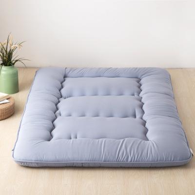 China Foldable Premium Floor Futon Mattress , Kids Play Mattress , Foldable Roll Sleep Pad for sale