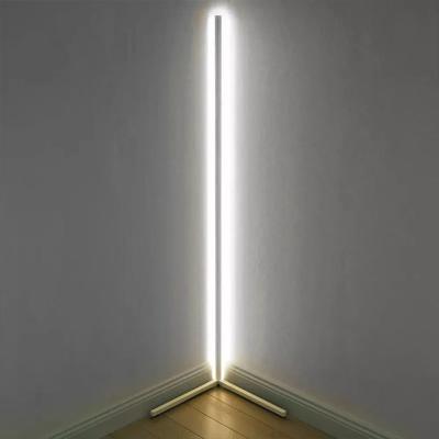 China Modern Modern RGB Floor Light For Living Room Corner Stand Floor Lamp 110v 24W Min Curve Floor Lamp for sale