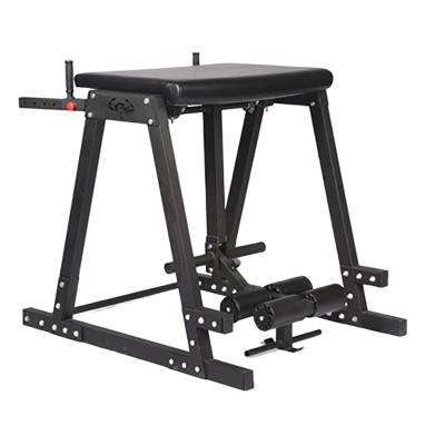 China China Supplier Fitness Equipment Commercial Leg Training Machine Flip Hyper for sale