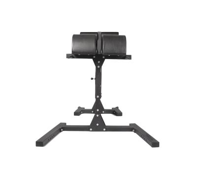 China CrossFi Gym Glute Ham Developer /New Comfortable High Quality GHD Style for sale