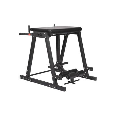 China Durable Hyper Sporting Goods / Machine Gym /Reverse Extension for sale