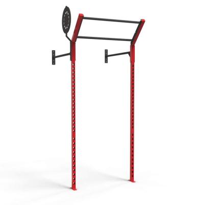 China Safe Multifunctional Fitness Equipment Gym Wall Mounted Installation for sale