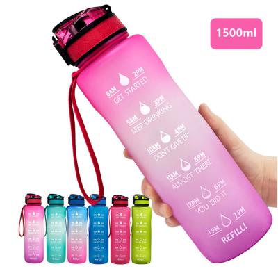 China Sustainable Motivational Recycled Plastic Hot Water Bottle for sale