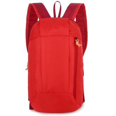 China Custom Logo Leisure Outdoor Sport Waterproof Nylon Lightweight Backpack for sale