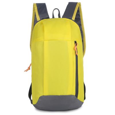 China Custom Made High Quality Waterproof Logo Nylon Leisure Outdoor Sport Lightweight Backpack for sale