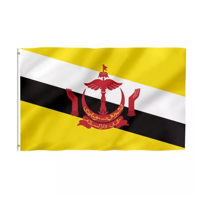 China Brunei Health Care Institutes Factory Custom Durable Outdoor Promotional Logo 3x5 FT 100%Polyester Custom Flag for sale