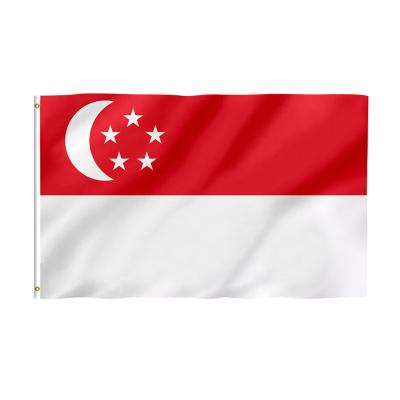 China Health Care Institutes Factory Promotional Logo 3x5 ft 100%Polyester Singapore Custom Durable Outdoor National Flag for sale