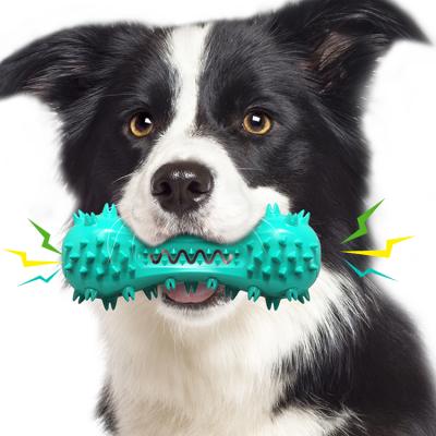 China Viable Amazon Hot Sale TPR Toothbrush Dog Toys Chew Healthy Squeaky Dog Toys for sale