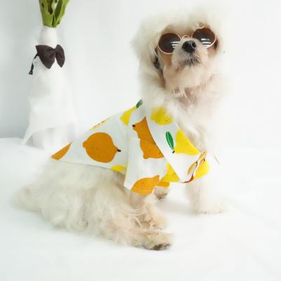 China Europe Fashion Cotton Sustainable Fruits Printed Dog Shirts Pet Clothes For Summer for sale