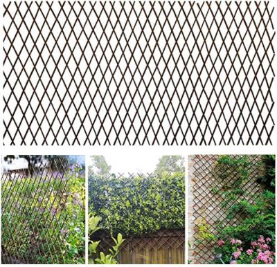 China Willow Expandable Trellis Fence Climbing Plants Trellis Nature Minimalist Plant Willow Trellis Expandable Plant Support for sale