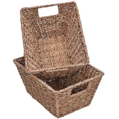 China Viable Plant Plankton Storage Woven Wicker Baskets Insert Handles, 12