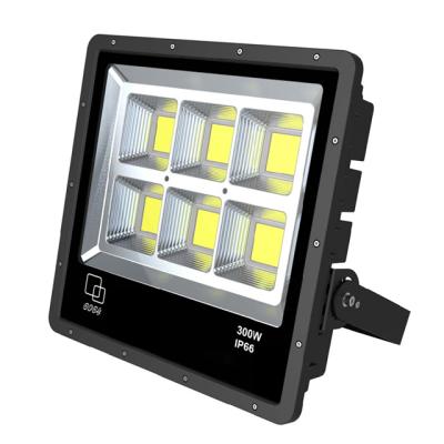 China Waterproof Professional 300W Garden Floodlight Housing Outdoor Led Flood Light Spot Light for sale