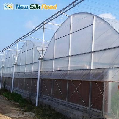 China Vegetable Fruits Flowers Large Greenhouse Hydroponics System Shoulder Height 1.5m-1.8m for sale