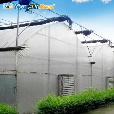 China Hot Galvanized Steel Frame Plastic Greenhouse for Vegetable Fruits Flowers Strawberry for sale