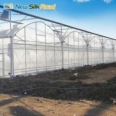 China Square Shape Galvanized Steel Frame Agricultural Greenhouses Waterproof and Economical for sale