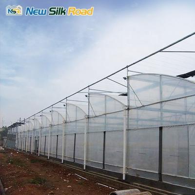 China Large and Small Size Single Plastic Steel Plastic Film Plant Growing Hydroponics Foam for sale