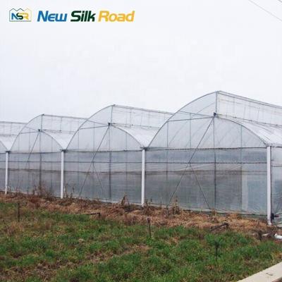 China NSR Agricultural Planting Greenhouse with Gutter Height 3-5m/Customized Sawtooth Roof for sale