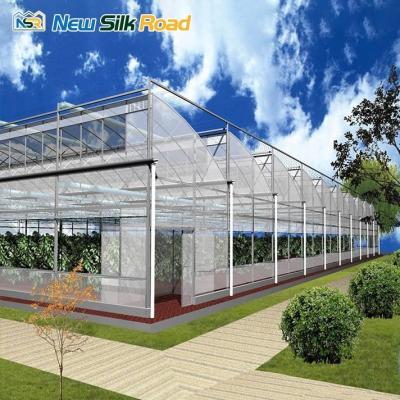 China 4m/4.5m/5m/Customized Section Economical Greenhouse for Plant Usage in Hurricane Areas for sale