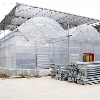 China Span 6m/8m/9.6m/10m/12m/Customized Economical Double Arch Double Layer Film PVC Greenhouse for sale