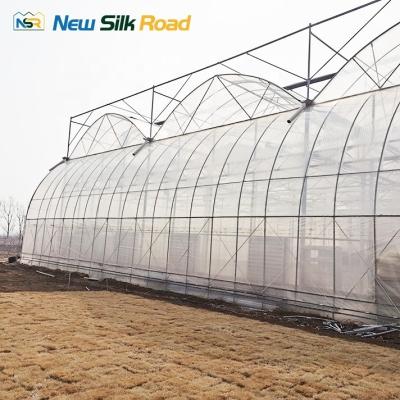 China Uzbekistan Market Hot Dip Galvanized Plastic Vegetable Greenhouse with Quick Assembly for sale