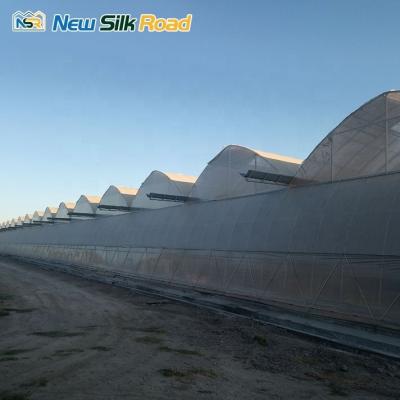 China Double Plastic Steel Construction Plant Large Agricultural Greenhouse in Uzbekistan for sale