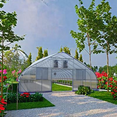 China Hot Galvanized Steel Pipe Single Layer Agricultural Serra a Campata for Small Plant for sale