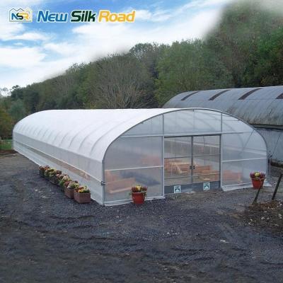 China Small Size Galvanized Steel Frame Greenhouse for Planting Compact and Easy to Assemble for sale