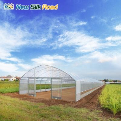 China Agricultural Single Span PE Plastic Film Greenhouses with Galvanized Steel Frame Mini to Large Sizes for Plant Housed for sale