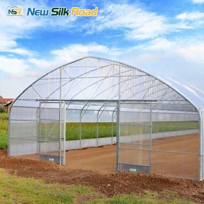 China Small Agricultural Low Tunnel Greenhouse with Galvanized Steel Frame Low Cost PE and Poly Plastic Film Cover Single Layer for sale