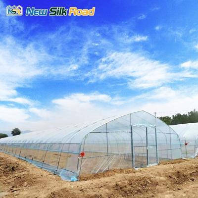 China Small Agricultural Greenhouse Tunnel with Optional Cooling and Ventilation Systems for sale