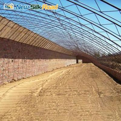 China Customizable Size Solar Greenhouse with Double Layer Film and Galvanized Steel Frame for sale