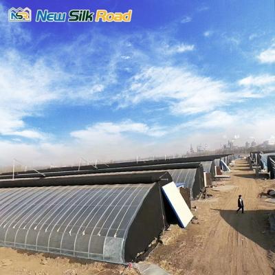 China Small to Large Size Hydroponic Solar Greenhouse PE Film Plant for Chinese Market for sale