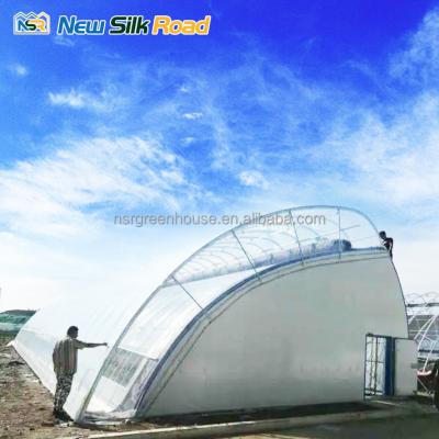 China Single-Span Agricultural Greenhouses Made of Hot Galvanized Steel Pipe for Agriculture for sale