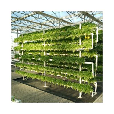 China PVC NFT Hydroponic System for Vegetables Greenhouse 2m-5.8m Length Stable Steel Frame for sale