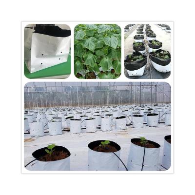 China PE Coated Accessories Rectangular Plastic Dutch Bucket for Hydroponic Tomato Growing for sale