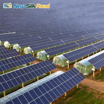 China Film Cover Solar Double Layer Tunnel Agricultural Greenhouses with Customized Length for sale