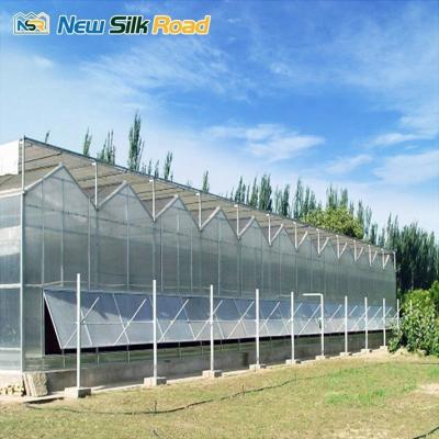 China Large Agricultural Polycarbonate Greenhouse with Prefabricated Assembly and Pc Sheet for sale