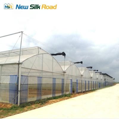 China Sawtooth Greenhouse with PEP Hot Dip Galvanized Materials and Green Plastic Film Cover for sale