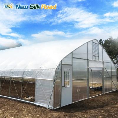 China Roof Vents and Side Vents Equipped Greenhouse for Single-Span Strawberry Farming for sale